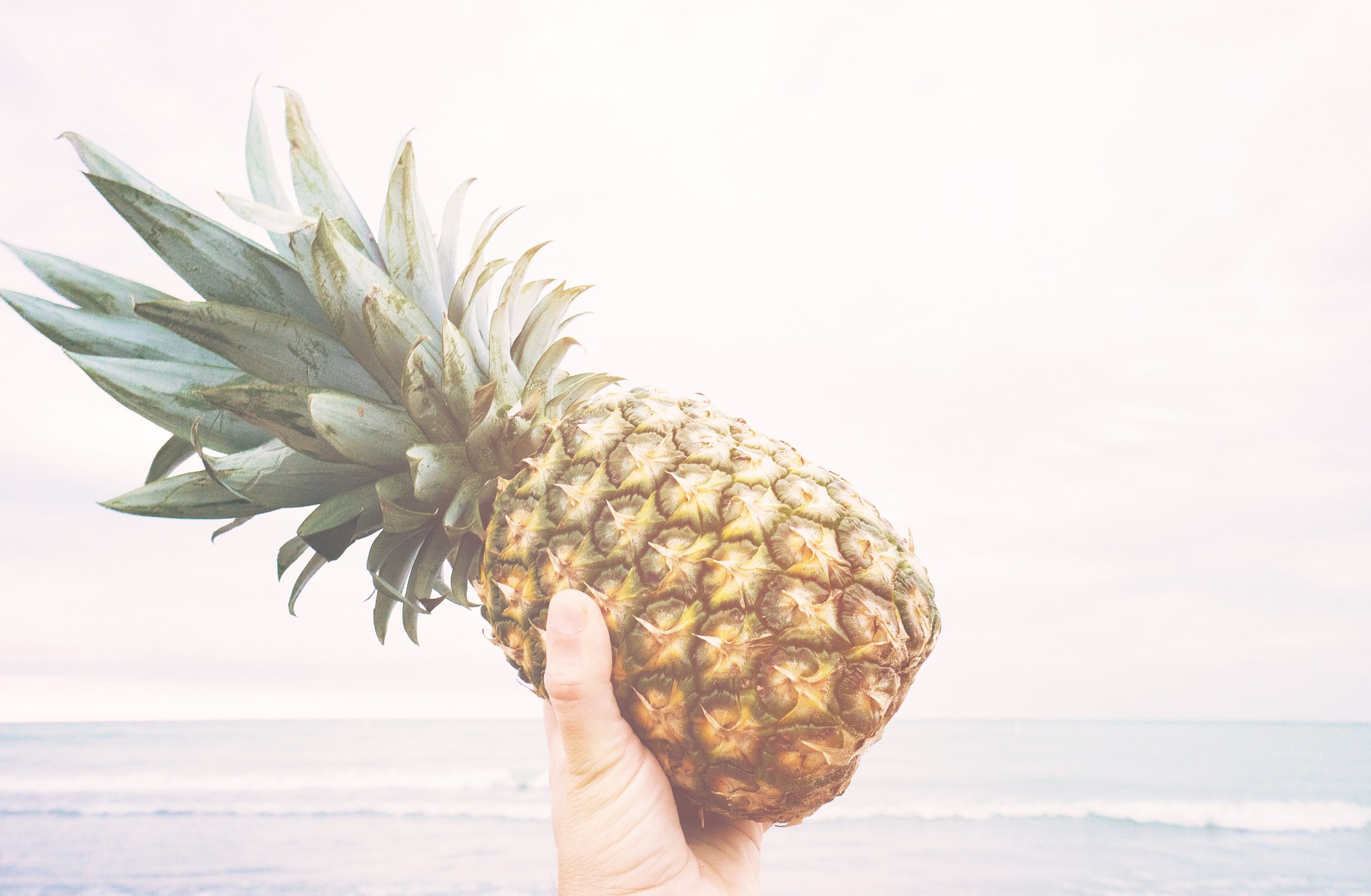 pineapple-918690_1920